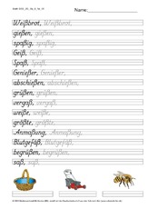 DSS_2S_Bu_ß_Nr_06.pdf